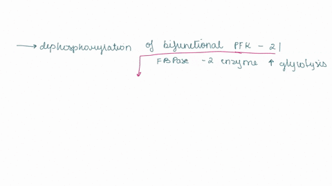 question-13-1pts-in-muscle-tissue-adrenaline-signalling-results-in-dephosphorylation-of-the-bifunctional-pfk-2fbpase-2-enzyme-which-increases-glycolysis-increased-levels-of-fructose-16-bisph-69508