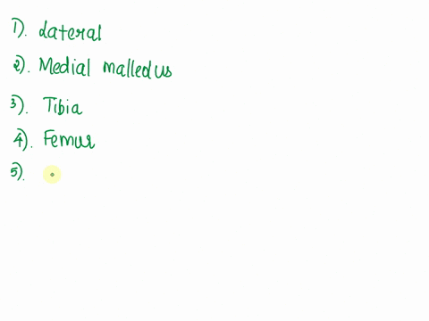 dlower-limb-fill-in-the-blank-with-the-correct-term-1-is-the-fibula-medial-or-lateral-to-the-tibia-bump-of-the-ankle-4-name-the-thigh-bone-5the-fibula-is-a-weight-bearing-bonetrue-or-false-6-28578