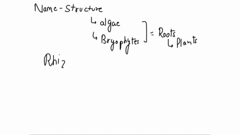 name-the-structure-found-in-algae-and-bryophytes-which-are-equivalent-of-roots-of-higher-plants-88152