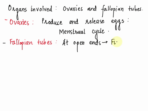 ovulation-occurs-when-the-oocyte-is-released-into-the-peritoneal-cavityhow-does-it-usually-enter-the-uterine-tube-identify-the-main-organs-and-briefly-explain-their-functions-23338