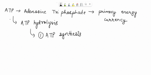 how-does-atp-supply-energy-for-cellular-activities-39974
