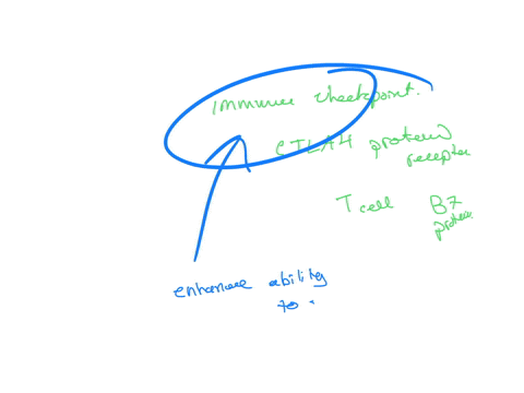 which-medication-is-a-immune-checkpoint-inhibitor-that-blocks-the-ctla-4-protein-receptor-on-the-t-cell-from-binding-with-the-b7-protein-a-pilimumab-b-nivolumab-c-bevacizumab-d-rituximab