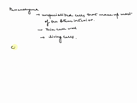 haracteristics-of-plant-cell-types-jassify-cach-description-into-the-correct-plant-cell-type-some-labels-apply-mote-than-one-category-nd-may-be-used-more-than-once-unspecialized-cells-inat-m-98385