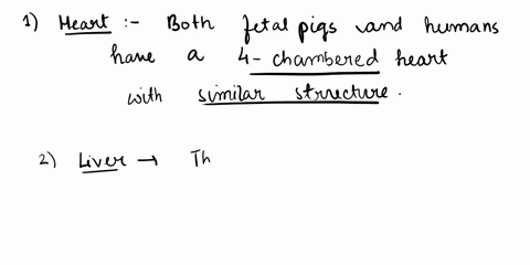 identify-three-organs-with-anatomical-similarities-between-the-fetal-pig-and-humans-and-explain-the-similarities-32093