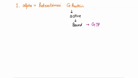 the-alpha-subunit-of-the-heterotrimeric-g-protein-is______________-becomes-inactive-when-receptors-bind-to-adrenaline-active-when-bound-by-gtp-active-when-bound-by-gdp-remains-complexed-with-32973