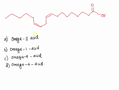 what-designation-best-describes-the-polyunsaturated-fatty-acid-shown-below-1-omega-3-acid-b-omcga-acid-c-omega-9-acid-d-omega-6-acid-76265