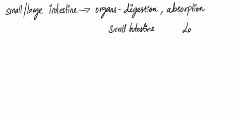 histological-differences-between-small-and-large-intestines-31838