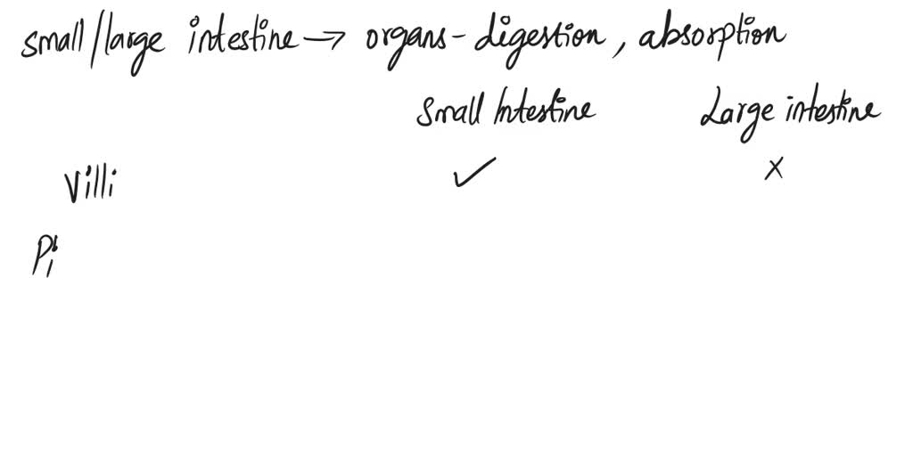SOLVED: histological differences between small and large intestines?