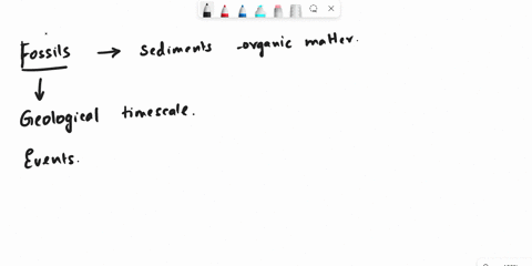 according-to-the-fossil-record-how-long-did-the-transition-from-fully-terrestrial-to-fully-aquatic-whales-take-15634