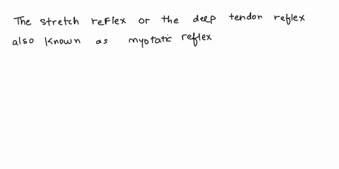 question-37-which-reflex-prevents-injury-by-limiting-too-much-muscle-tension-eg-too-much-contraction-myotatic-reflex-reverse-myotatic-reflex-antagonistic-reflex-cross-motor-reflex-79422