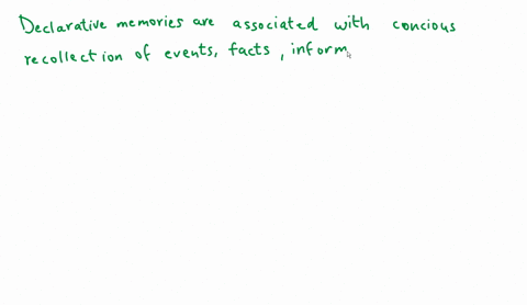 most-declarative-but-not-procedural-memories-are-stored-in-the-hippocampus-true-false