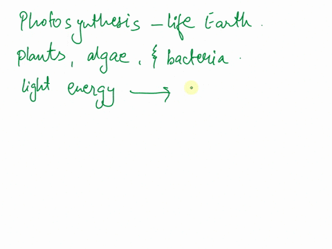 why-is-photosynthesis-important-on-a-global-level-35819