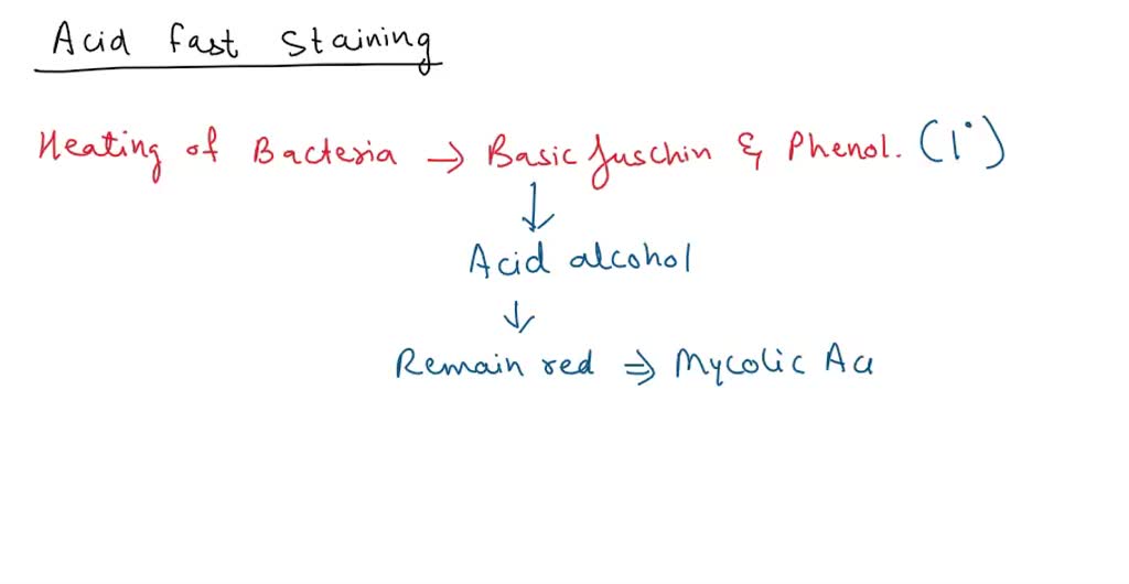 SOLVED: Acid-Fast Stain What is the primary stain used? What is the ...