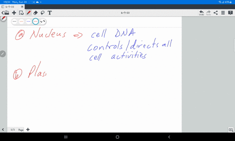 list-five-cell-organelles-and-describe-their-function-use-complete-sentences-78205