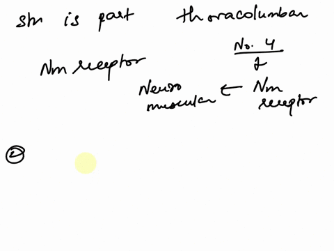if-the-structure-is-part-of-thoracolumbar-system-the-receptor-denoted-by-number-4-is-a-nm-receptor-b-alpha-1-receptor-c-m2-receptor-d-nn-receptor-if-the-structure-is-part-of-craniosacral-sys-21228
