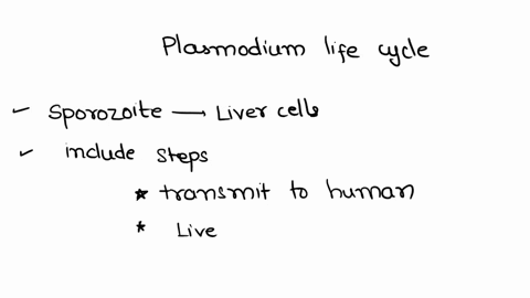 tne-sentences-about-the-plasmodium-life-cycle-place-the-correct-terms-into-results-from-plasmodium-infections-in-humans-sporozoite-the-disease-malaria-produce-gametocytes_-plasmodium-uses-cy-31568