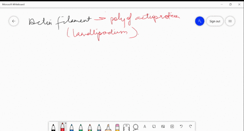 consider-an-actin-subunit-that-has-just-been-incorporated-into-an-actin-filament-at-the-leading-edge-of-a-lamellipodium-before-its-atp-is-hydrolyzed-how-does-its-distance-from-the-leading-fr-30795