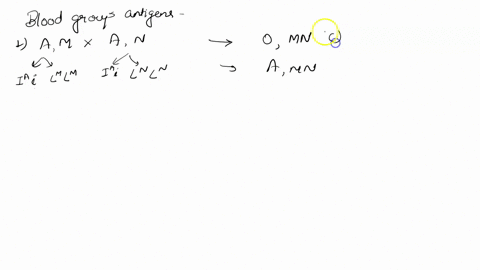 five-human-matings-1-5-identified-by-both-maternal-and-paternal-phenotypes-for-mathrmabo-and-mathr-2-59872