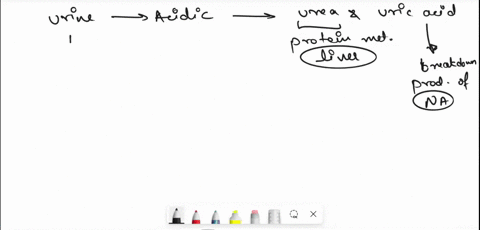 human-urine-is-usually-more-acidic-than-most-other-body-fluids-because-the-sodium-transporter-exchanges-one-hydrogen-ion-for-each-sodium-ion-hydrogen-ions-are-actively-moved-into-the-filtrat-12434