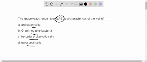 the-lipopolysaccharide-layer-lps-is-a-characteristic-of-the-wall-of-__________-a-archaean-cells-b-gr-15187