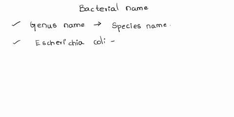 which-of-the-following-is-a-correct-way-to-write-a-bacterial-name-1-escherichia-coli-2-staphylococcus-aureus-3-staphylococcus-epidermidis-bacillus-subtilis-5-pseudomonas-aeruginosa-98726
