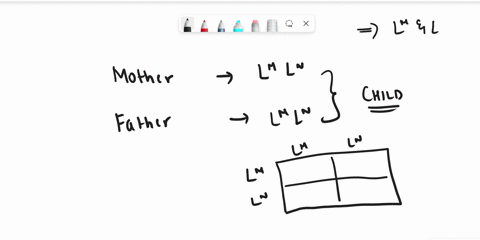 1-the-alleles-at-the-mn-locus-show-codominance-if-two-people-with-blood-type-ll-have-children-give-the-expected-genotypic-and-phenotypic-proportions-of-their-offspring-92297
