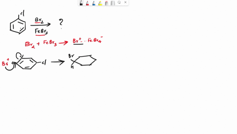 give-the-structures-of-the-two-major-products-in-the-reaction-shown-draw-two-products_-br2-febr-06798