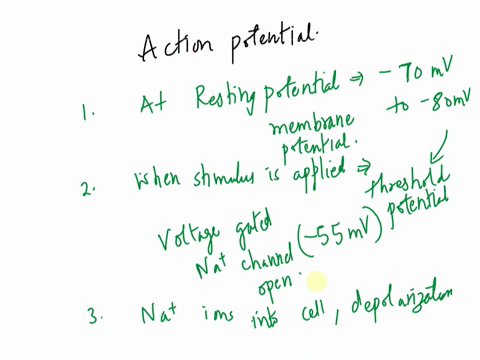 action-potential-sequence-40-1-depolarization-phase-440-1-560-resting-potential-80-repolarization-phase-threshold-potential-hyperpolarization-phase-time-msec-98932