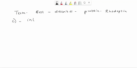 which-term-best-describes-the-type-the-protein-rhodopsin-in-the-figure-in-the-previous-quesiton-group-of-answer-choices-external-membrane-protein-peripheral-membrane-protein-integral-membran-08836