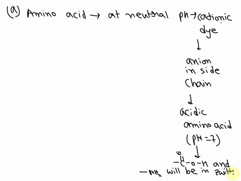 orange-iiis-an-anionic-dye-both-cationic-and-anionic-dyes-are-expected-to-bind-tightly-to-protein-fibers-because-some-amino-acids-the-monomeric-units-of-proteins-can-have-sidechains-r-that-a-84549