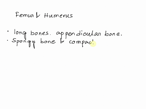 in-what-way-are-the-humerus-and-the-femur-similar-a-they-both-attach-their-respective-limbs-to-the-axial-skeleton-b-they-both-have-similar-joints-at-the-end-c-they-both-are-extremely-long-an-97692