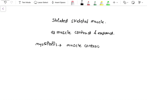 describe-the-structure-of-striated-skeletal-muscle-including-the-definitions-and-functions-of-myofibrils-myofilaments-fascicles-myosin-filaments-actin-filaments-sarcomeres-z-lines-15479