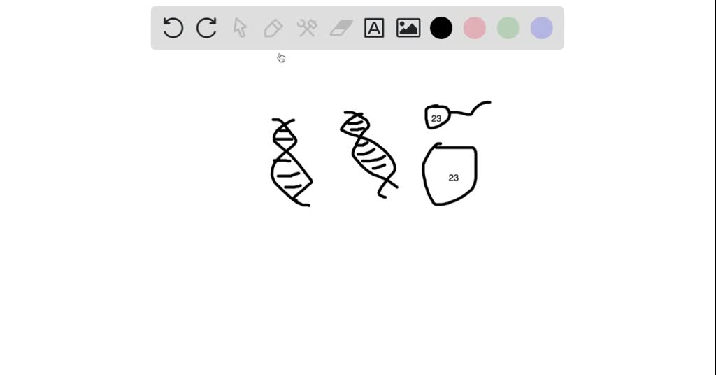 SOLVED As we know mother has only one umbilical cord , then how can