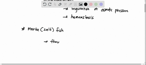 11-how-do-marine-fish-perform-osmoregulation-a-through-gaining-water-through-the-gills-b-through-gaining-salt-through-the-gills-c-through-drinking-water-and-eating-food-d-through-excreting-l-66965