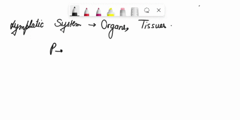 the-thymus-has-none-of-these-properties-is-located-in-the-superior-laryngeal-space-is-a-site-for-lymphocyte-response-to-foreign-substances-is-a-location-for-processing-and-maturation-of-t-ly-09714