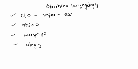 in-the-term-otorhinolaryngology-which-word-part-means-ear-quzilet-98848
