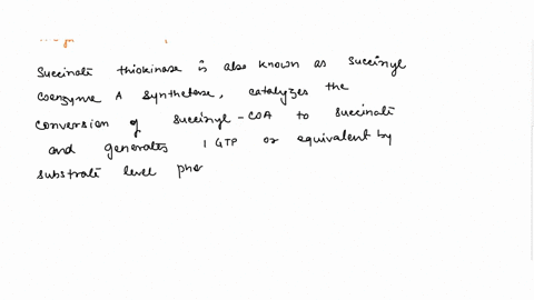 describe-the-evolution-of-the-heart-including-open-and-close-circulatory-systems-from-annelids-to-humans-47259