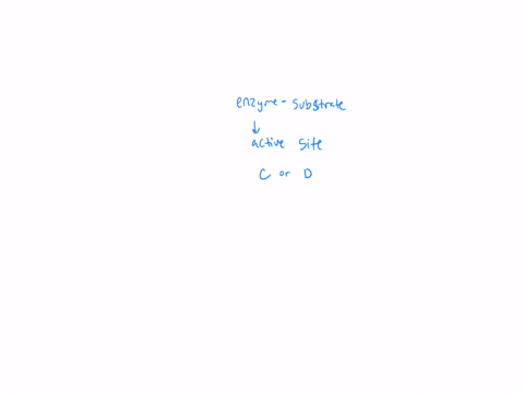 question-36-of-39-choose-the-best-description-of-the-induced-fit-model-of-enzyme-substrate-binding-a-the-substrate-binds-in-an-allosteric-site-that-is-perfectly-designed-to-match-the-shape-of-the-subs