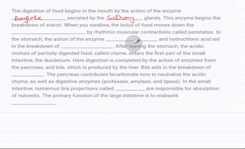 the-digestion-of-food-begins-in-the-mouth-by-the-action-of-the-enzyme-______________________-secreted-by-the-_______________-glands-this-enzyme-begins-the-breakdown-of-starch-when-you-swallo-87453
