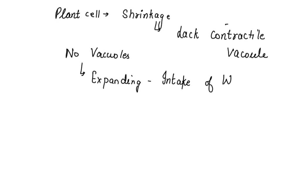 SOLVED Plant cells do not contain contractile vacuoles, and watering