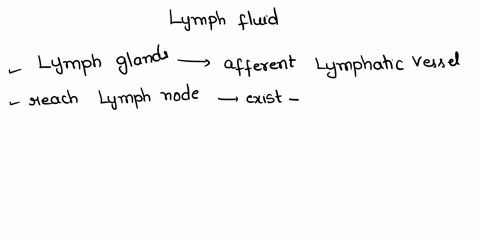 place-the-following-parts-in-the-correct-order-in-which-lymph-fluid-is-collected-and-then-sent-to-the-circulatory-system-tissue-question-23-3-points-place-the-following-parts-in-the-correct-88001