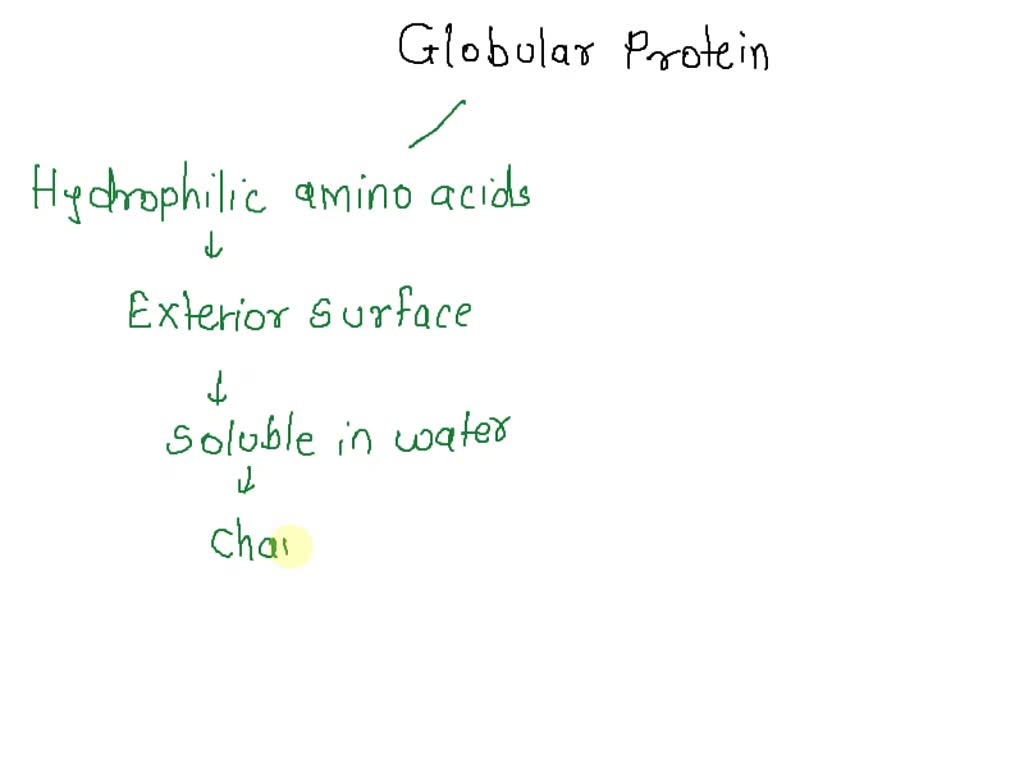 SOLVED From thermodynamic concept, why do hydrophobic amino acid side