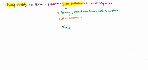 what-is-hardy-weinberg-theory-explain-it-shortly