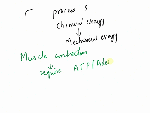 in-which-of-the-following-processes-is-chemical-energy-converted-to-mechanical-energy-97042