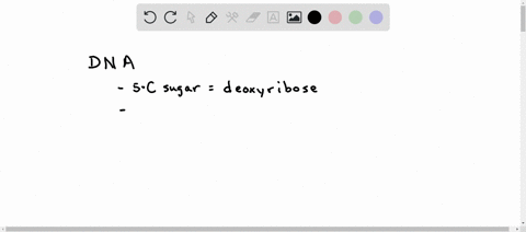 which-chemical-is-not-part-of-dna-group-of-answer-choices-a-phosphate-b-ribose-c-cytosine-d-nitrogen-e-carbon-10774