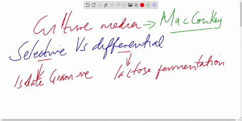 i-am-needing-to-access-my-understanding-for-macconkey-agar-please-assist-with-question-3-1-what-component-makes-macconkey-agar-differential-it-allows-us-to-seevisualize-the-difference-in-the-11642