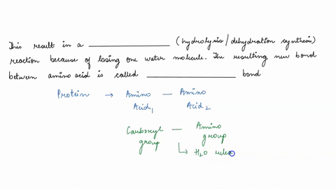 a-protein-forms-when-amino-acids-attach-to-each-other-by-forming-a-_____-covalent-or-ionic-bond-one-amino-acids-carboxyl-group-binds-to-the-_____-carboxyl-or-amino-group-of-the-incoming-amin-63975