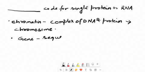 codes-for-a-single-protein-or-rna-product-a-chromatin-b-gene-c-exon-d-intron-77183