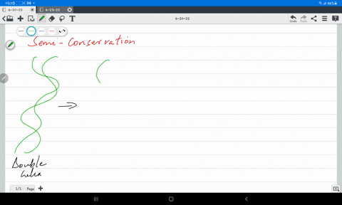 dna-replication-is-said-to-be-semiconservative-which-of-the-following-statements-correctly-explains-what-this-means-55758