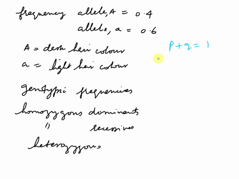 if-the-frequency-of-allele-a-4-and-the-frequency-of-the-allele-in-the-population-where-ields-dark-hair-and-yields-light-hair-what-will-the-genotypic-frequencies-of-homozygous-dominants-heter-65396